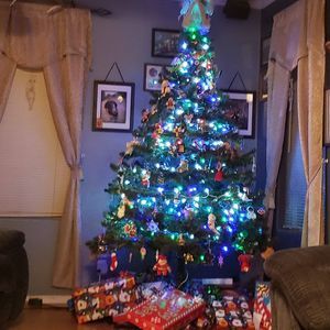 Meet your Posher, Dawn